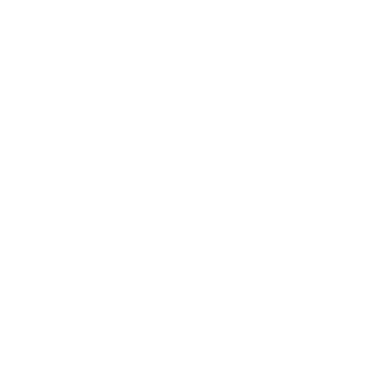 SYRIN advisor